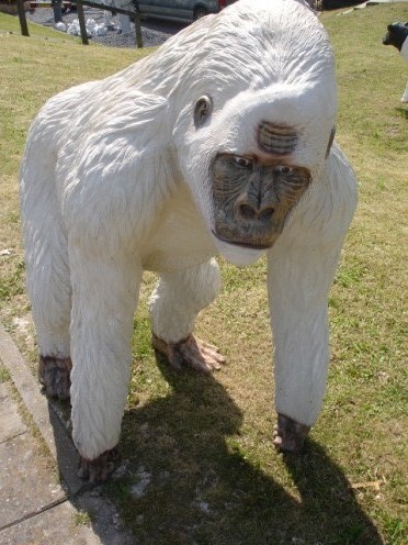 Tuinbeeld aap wit