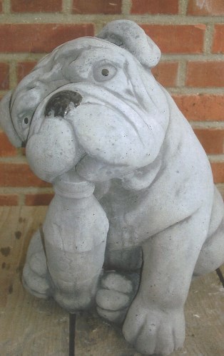 Bulldog pup met fles