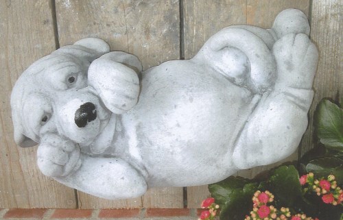 Labrador pup liggend