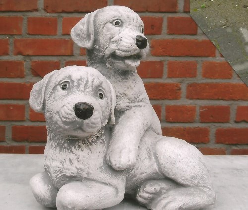 duo honden