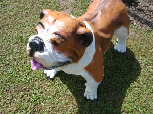 Tuinbeeld hond bulldog